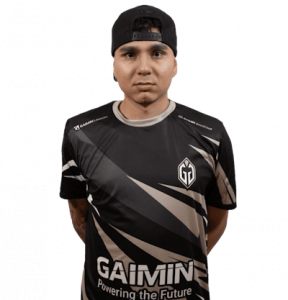 HEN1