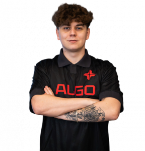 Szejn