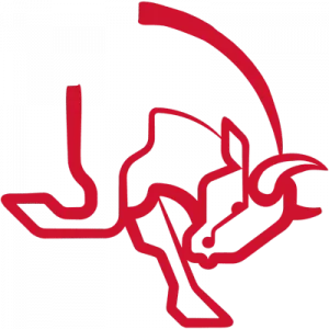 AaB Bulls